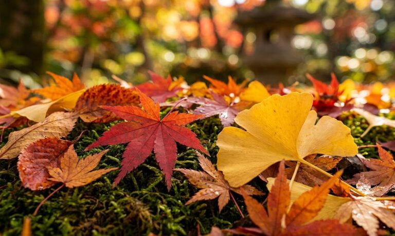 11月の営業のお知ら